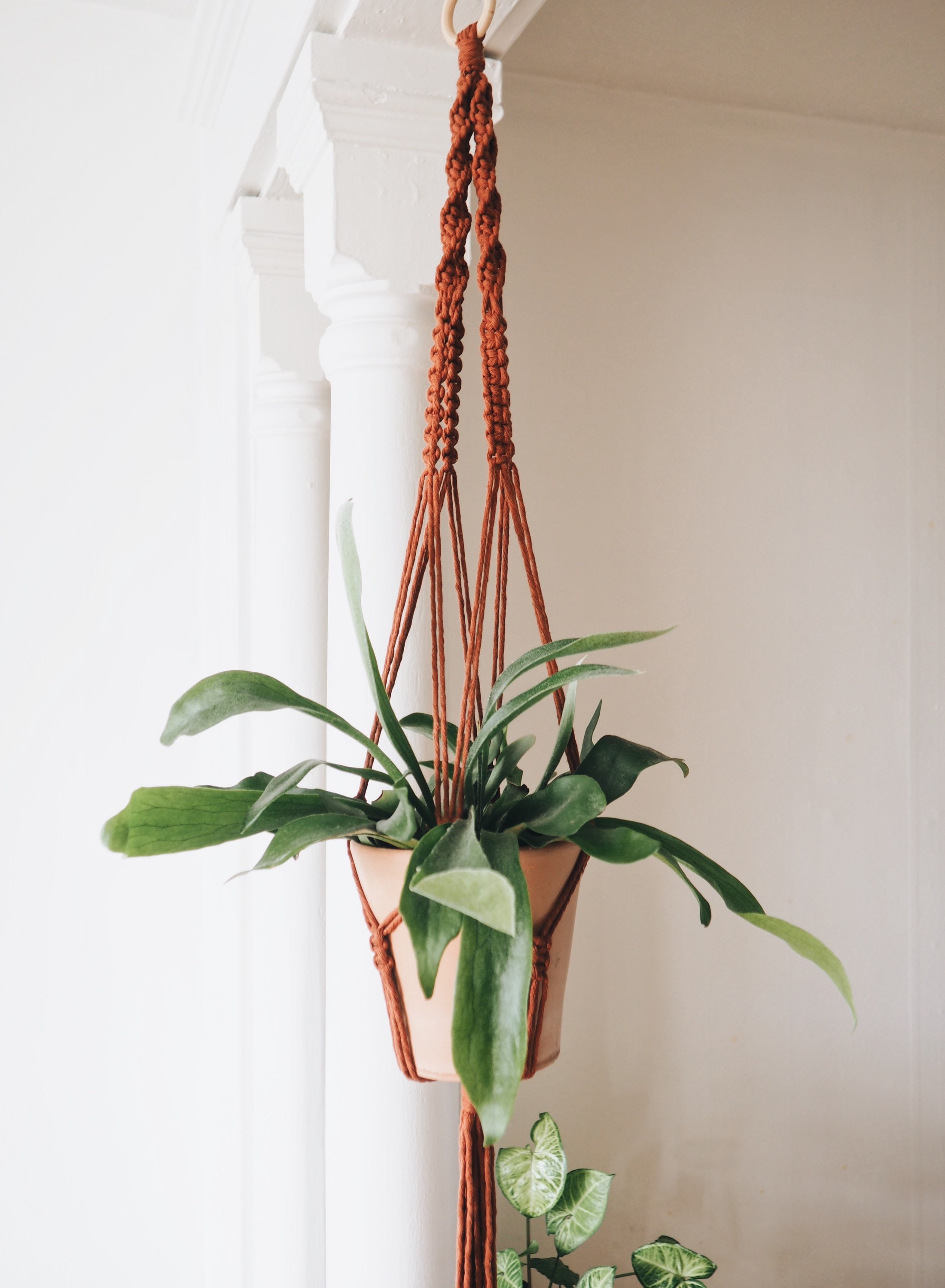 Boho Macramé Plant Hanger The Vincent 1D9