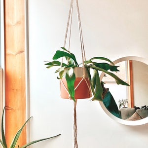 Simple macrame plant hanger / 9 colour choices / boho decor / hanging planter /eco friendly / handmade and customizable