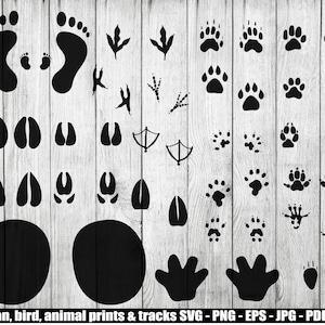 Human, Bird, Animal Prints and tracks SVG, Human footprints SVG, Animal tracks SVG, Prints and tracks png
