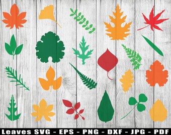Blätter SVG Schnittdatei, Farbblätter Silhouetten SVG, Bügelbild Blätter PNG