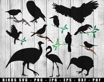 Vögel Silhouetten SVG, Vögel Vektoren SVG, Vögel auf Ästen PNG, Vögel Geschnittene Datei, Vögel Bügelbild
