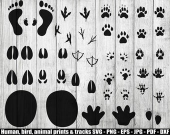 Download Art Collectibles Clip Art Animal Tracks Set 2 12 Different Animals 46 Footprints Stamp Instant Download Scrapbooking Svg Eps Dxf Png File White 3d Effect