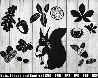 Nüsse, Blätter und Eichhörnchen SVG Silhouetten, Cut Datei Vektoren, Bügelbild PNG, 13 separate Clip Arts, Nutty Print