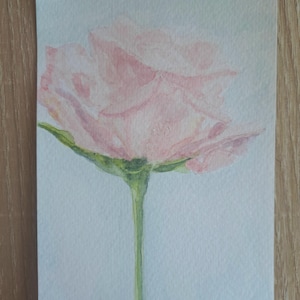エレガントなピンクのバラ - 手描きの水彩画ポストカード - ミニマリストの花のアート