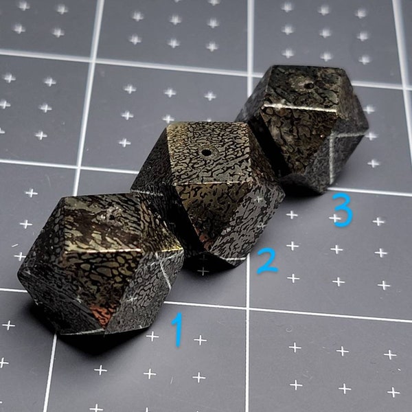 | d’os de pyrite D20 foré Plesiosaur Fossil | D20 Dés | Collier Cube | Dés Dnd