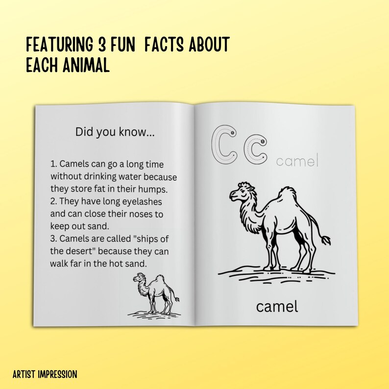 A children's book spread showing 'Did you know' facts about camels, with simple black line drawings of camels and letter 'C' practice.