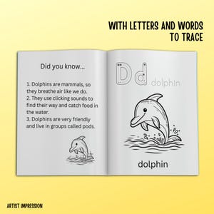 Coloring book page featuring letter 'D' with dolphin illustrations and facts. Shows dolphins jumping from water and includes information about their pod life and echolocation.