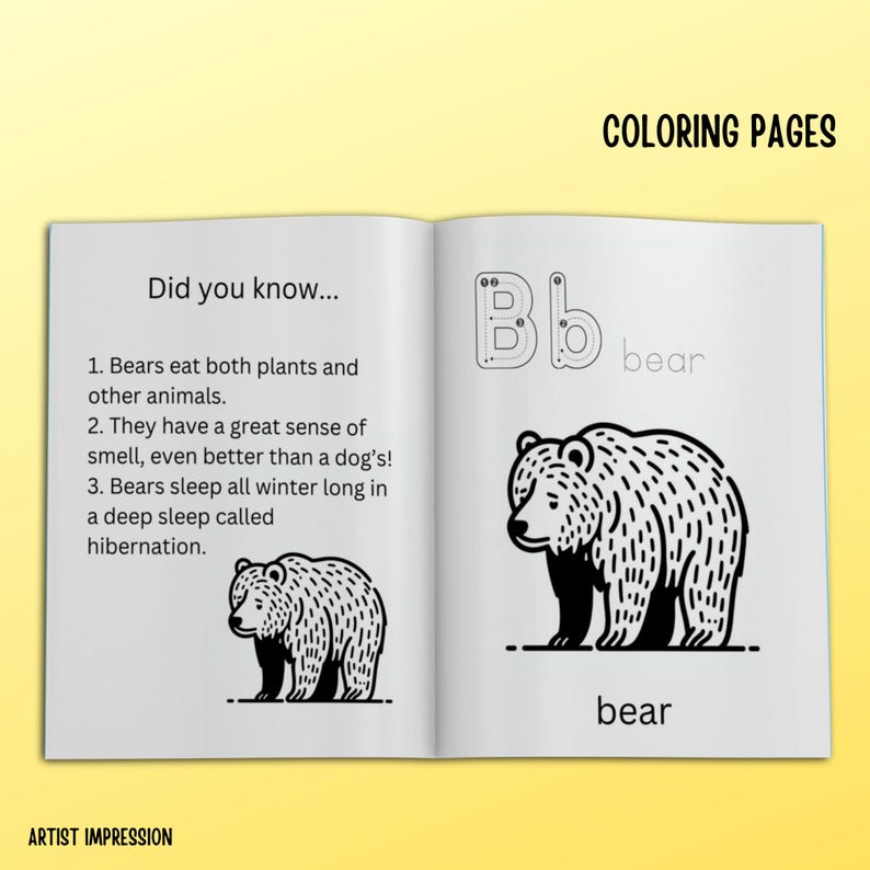 Open coloring book spread showing letter 'B' with bear illustrations and facts. Includes traceable letters and 'Did you know' section about bears' hibernation and habits.