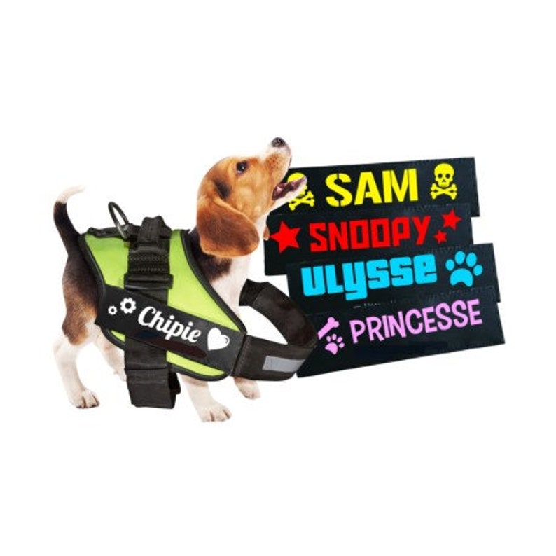 Personalized Custom Made Labels For JULIUSK9 Harness Etsy
