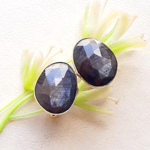 May include: Two faceted, oval-shaped dark blue sapphire gemstones set in simple metal bezels. The stones display a deep navy hue with geometric surface cuts that reflect light, positioned against a pale green floral stem with thin petals.
