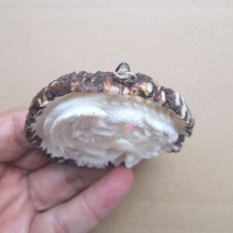 Dragon Carved Antler Pendant Deer Horn Bali Bone Carving with Sterling Silver Bail PD201219
