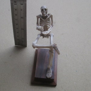 Skeleton Carved Antler, Deer Horn Bali Bone Carving Figure / Statue ST04050323