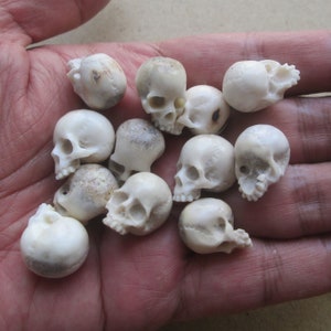 May include: A collection of small, white, carved bone skulls. The skulls are detailed and realistic, with visible eye sockets, nasal cavities, and teeth.