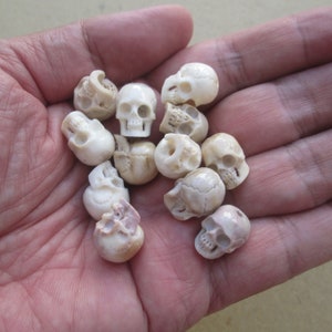 Può includere: Una collezione di piccole perline a forma di teschio in osso intagliato, di colore bianco. Le perline sono di forme e dimensioni diverse, e alcune presentano dettagli intricati.
