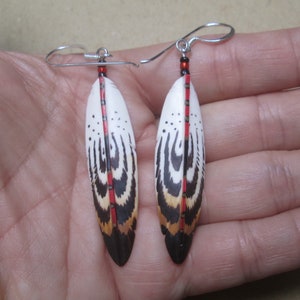 Hand Painted Feather Earrings On Bone with Sterling Silver Wire PFE08