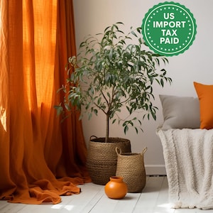 Burnt orange regular and blackout linen curtains 2 panels Unlined Cotton Blackout lining Medium weight linen Custom size