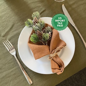May include: A table setting featuring a white plate, a folded rust-coloured napkin tied with twine, and a sprig of pine with pine cones. A silver fork and knife are on either side of the plate, set on a green tablecloth.
