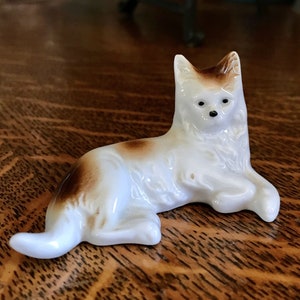 Wagner and Apel Persian Cat