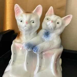 Kittens in Baby Shoes