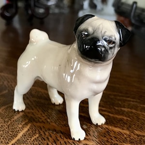 Beswick Mops Hund, eine Rasse, die bei Queen Victoria beliebt ist