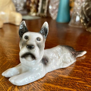 Sitzendorf Schnauzer Laying Down