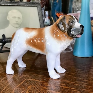 SylvaC Saint Bernard