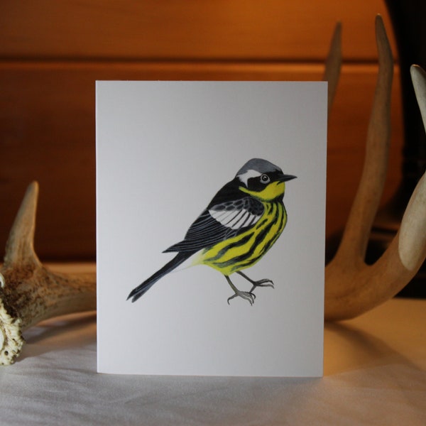 Blank Bird Greeting Card, Magnolia Warbler Card, Cards for Birders, Birdwatcher Gift, Watercolor Bird Card, Holiday Bird Card
