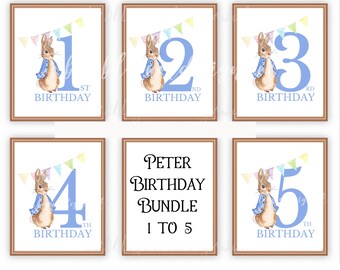 Peter Rabbit Bunting Birthday 1 to 5 PNG Bundle Peter Rabbit Clipart Instant Digital Download Boys Birthday Card Design Sublimation