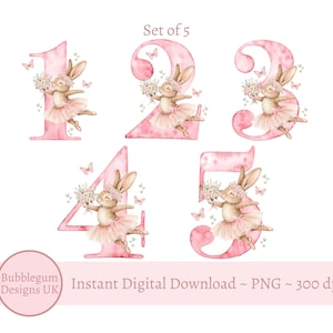 Diseños de sublimación de números de conejito de bailarina con tutú rosa de 1 a 5 años, PNG, clipart de conejito, diseño de conejito de ballet, descarga digital instantánea