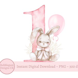 1er anniversaire de bébé lapin PNG, design mignon de sublimation de lapin, première carte d'anniversaire, T-shirt de lapin de filles, fête de lapin, téléchargement numérique instantané,