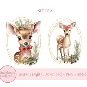 2 x Christmas Deer Wreath PNG,  Reindeer Sublimation Design, Christmas Card Design, Winter Woodland Deer, Reindeer, Instant Digital Download