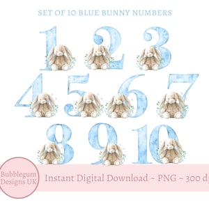 Lop Ear Bunny Blue Numbers Bundle Idades 1-10, PNG, Design de sublimação de urso, Decoração de festa de aniversário, Design de ursinho azul, Download digital instantâneo