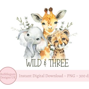 Wilde en drie safaridieren PNG, aquarel babydieren, T-shirt sublimatieontwerp, ontwerp verjaardagskaart, instant digitale download
