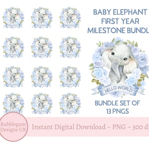 Bundle jalon bébé, couronne de roses bleues bébé éléphant, PNG, design sublimation éléphant, 1er anniversaire, téléchargement immédiat