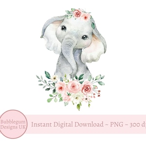 Babyolifant Peach Floral PNG, Aquarel Olifant, Sublimatie Design, Verjaardagskaart afbeelding, Instant Digitale Download,