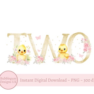 Dois Patos PNG, Pato 2º Aniversário Sublimação Design, Decoração de Festa de Aniversário de Pato de Borracha, Festa de Pato Amarelo, Download Digital Instantâneo
