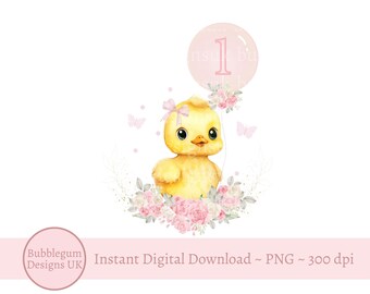 One Duck Balloon PNG, Duck 1st Birthday Sublimation Design, Rubber Ducky Birthday Party Decor, Yellow Duck Party, Instant Digital Download