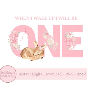 Pink ONE Baby Deer & Pink Roses PNG, 1º aniversário do bebê, Pijama de primeiro aniversário para meninas, Quando eu acordar, serei, Download digital instantâneo