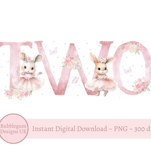 Bunny 2nd Birthday TWO PNG, Bunny Sublimation Design, Meninas Segundo Aniversário, Coelhinhos de Aniversário, Balão de Coelho TWO, Download Digital Instantâneo
