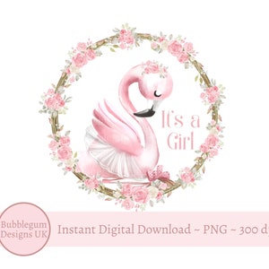 It's A Girl - baby flamingo roze rozen krans PNG, sublimatie ontwerp, nieuwe baby, babyshower, krans illustraties, instant digitale download