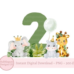 Animais de safári de bebê 2 PNG, animais de bebê aquarela, design de sublimação de camiseta de aniversário, 2º aniversário de meninos, download digital instantâneo