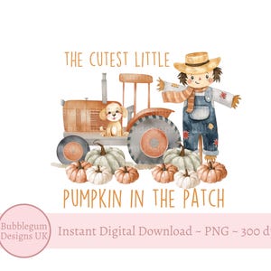 Leukste kleine pompoen in de patch PNG, trekker vogelverschrikker sublimatie ontwerp, pompoen patch clipart, herfst pompoenen, instant digitale download