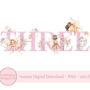 Pink Fairy Wildflower drie PNG, feeën sublimatie ontwerp, Fairy verjaardagsfeestje decor, grillige Fairy Party, instant digitale download