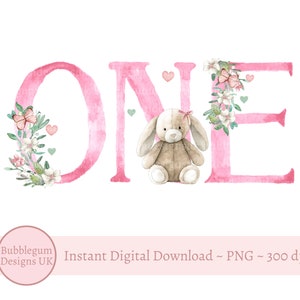 1st Birthday Bunny Pink One PNG, Bunny Sublimation Design, Decorazioni per la festa del primo compleanno delle bambine, Coniglietto di compleanno, Download digitale istantaneo