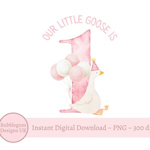 Our Little Goose Is 1 PNG, roze 1e verjaardag gans sublimatieontwerp, Silly Goose clipart, trendy Silly Goose, instant digitale download