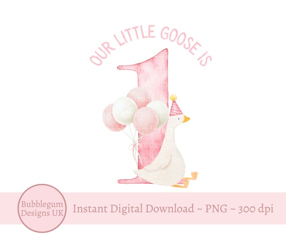 Our Little Goose is 1 PNG, Pink 1st Birthday Goose