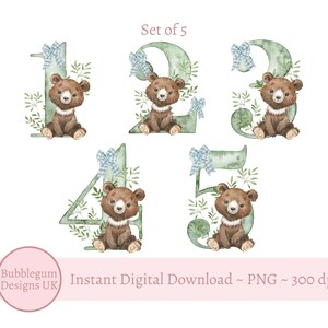Ours des bois vert numéros 1 à 5 ans sublimation dessins, PNG, clipart ours, bébé ours, design animal de la forêt, téléchargement immédiat