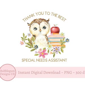 Coruja sábia, obrigado, assistente de necessidades especiais, design de sublimação, PNG, design de coruja de agradecimento ao professor, download digital instantâneo