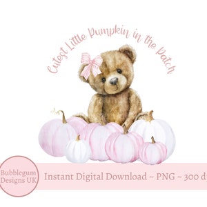 Cutest Little Pumpkin in the Patch PNG, Teddy Bear Sublimation Design, Bear Clipart, Fall Pink Pumpkins, Instant Digital Download