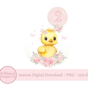 Zwei Entenballon PNG, Enten 2.Geburtstags-Sublimationsdesign, Gummi-Enten-Geburtstagsfeier-Dekor, gelbe Entenparty, sofortiger digitaler Download